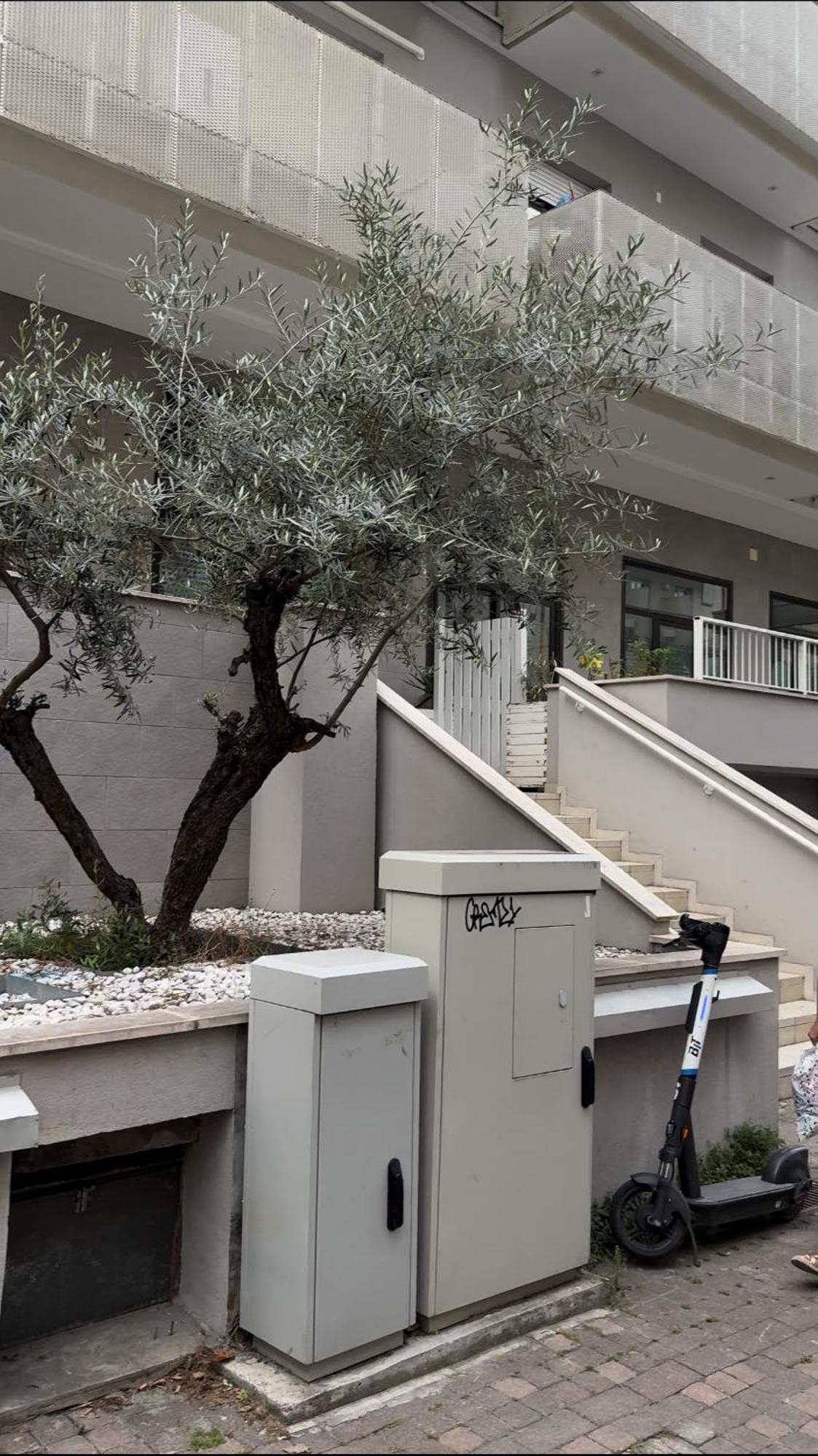 Rimini Marina Apartment Екстериор снимка